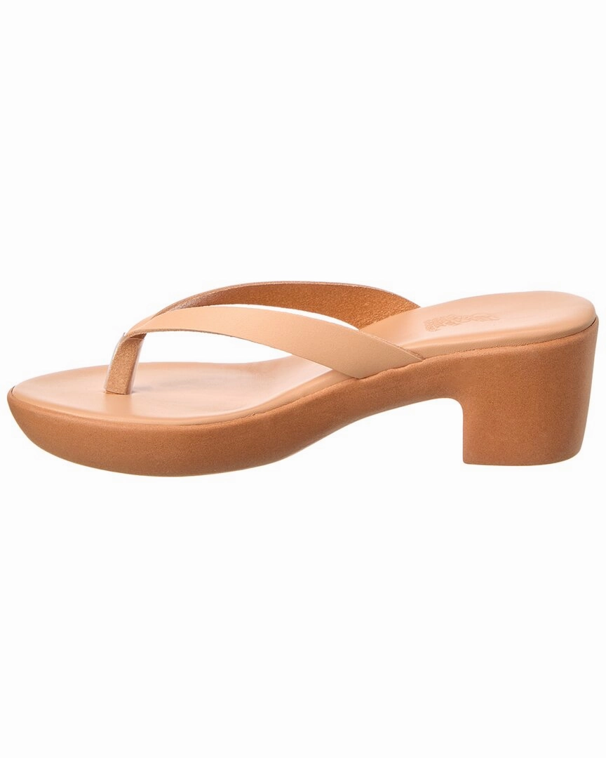 Ancient Greek Sandals Eva Comfort Clog