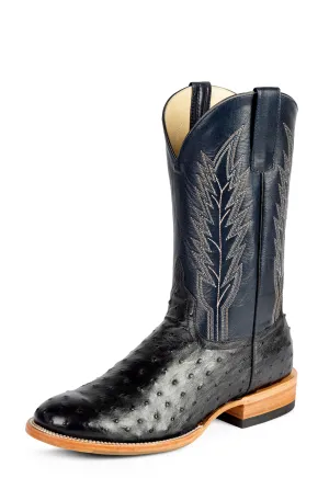 Black Full Quill Ostrich - HP6016