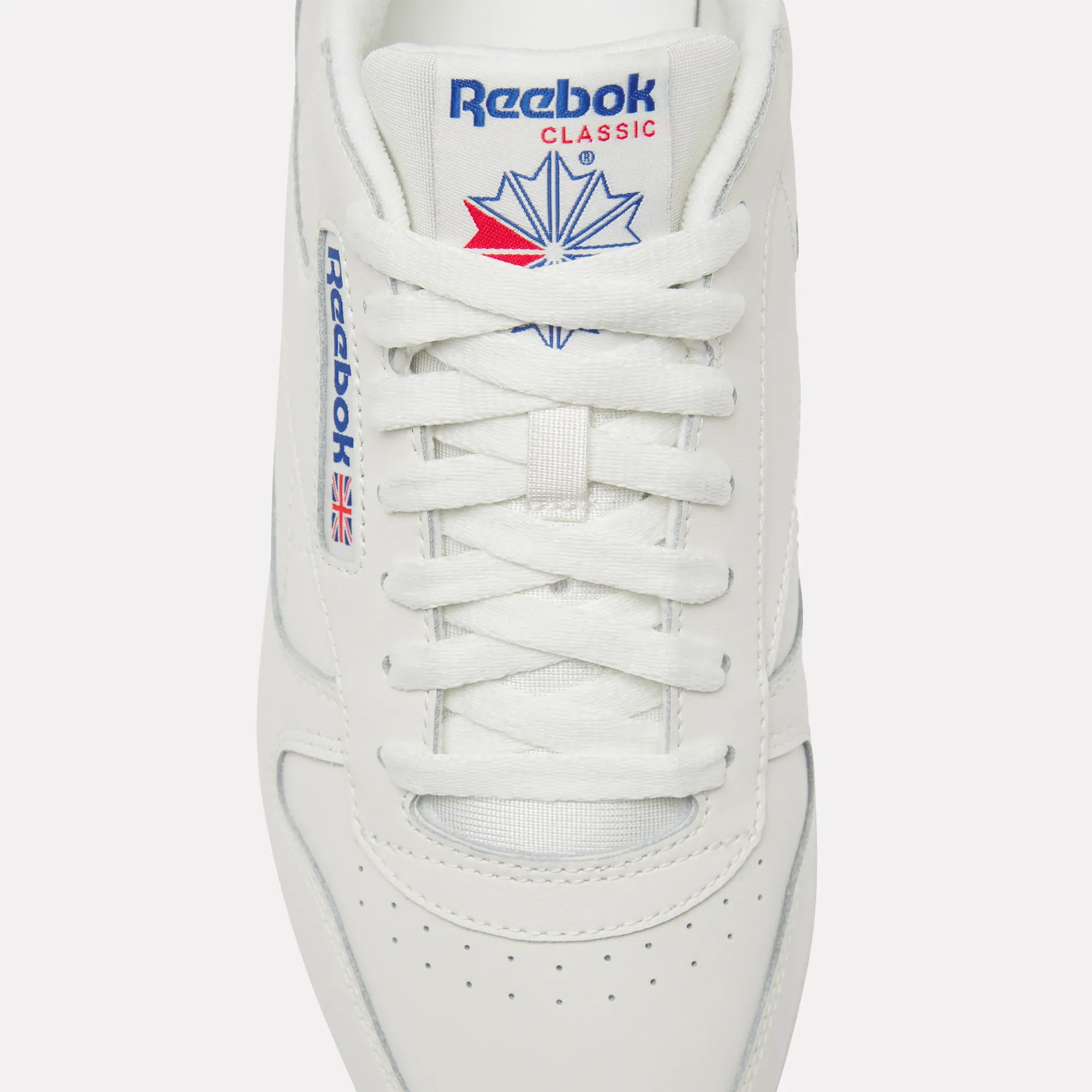 Classic Leather Shoes