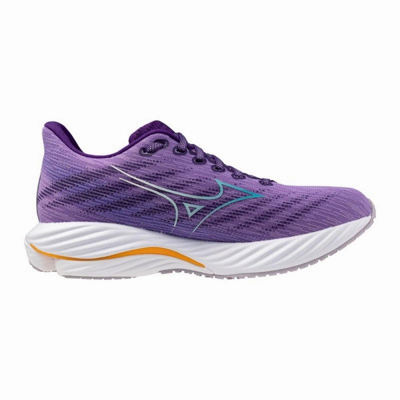 Mizuno Women's Wave Rider 28 - Paisley Purple/Ceramic
