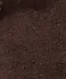 Notice Sneaker