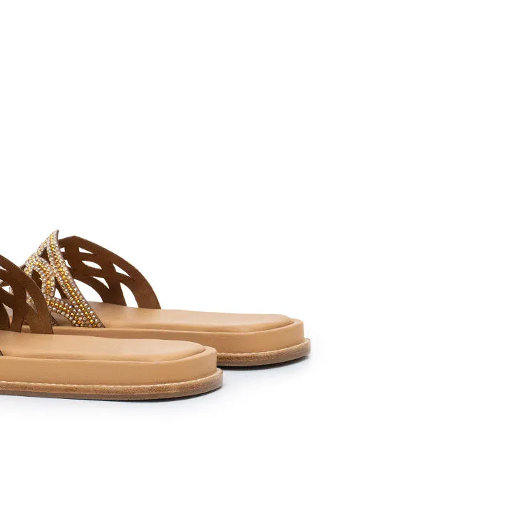 Quidel - Beige
