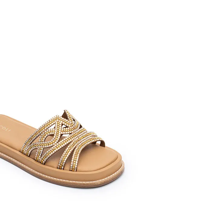 Quidel - Beige