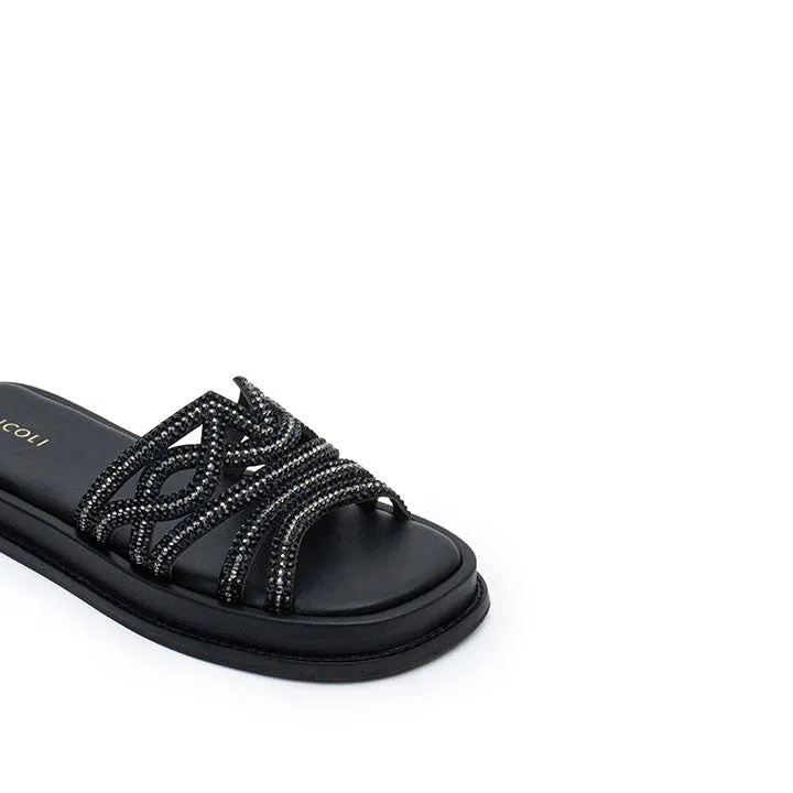 Quidel - Black