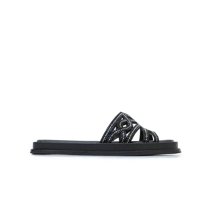 Quidel - Black
